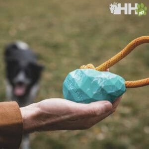 Detrás de escena de cultura de perros en la tienda online TodoMASKOTAS, tienda online de mascotas y peluches.