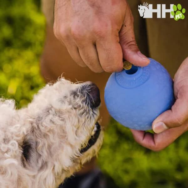Juguete de goma para perros con premio en interior y exterior.