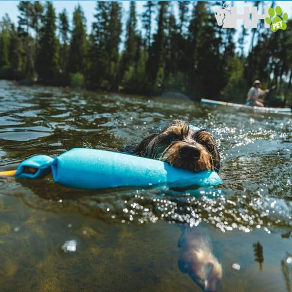 Noria de perro flotante en río para juegos acuáticos y seguridad.