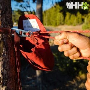 Funda de seguridad para perros con arnés en árboles, fácil de instalar en paseos al aire libre.