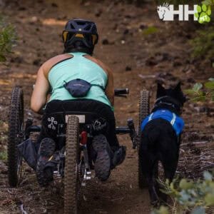 Montaña en silla de ruedas con perro guía en sendero natural.