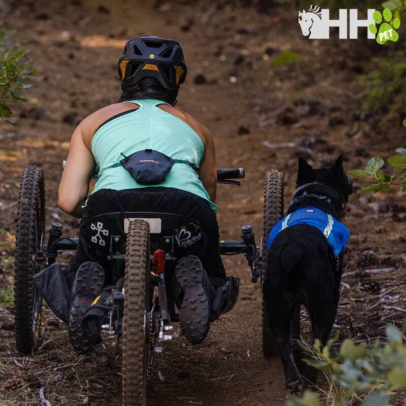 Montaña en silla de ruedas con perro guía en sendero natural.