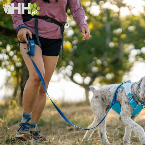 Collar y arnés para perros, paseo con perro, accesorios para mascotas, equipo de paseos, tienda de mascotas online.