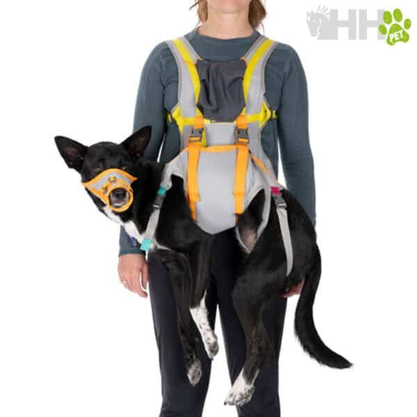 Arnés de perro con mochila para perros grandes y pequeños en TodoMASKOTAS.