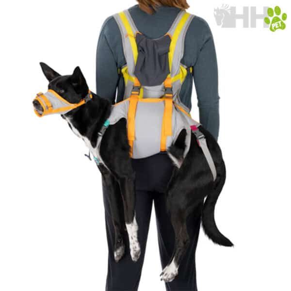 Arnés para perro en mochila con patas ajustable y cómodo para paseos outdoor.