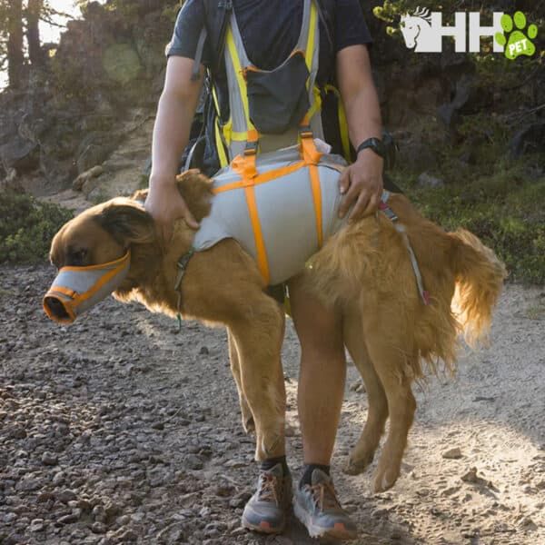Arnés y máscara para perro de aventura en la naturaleza, ideal para actividades outdoor con mascotas.