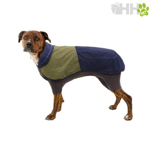 Chaqueta impermeable para perros, moda y protección contra el agua.