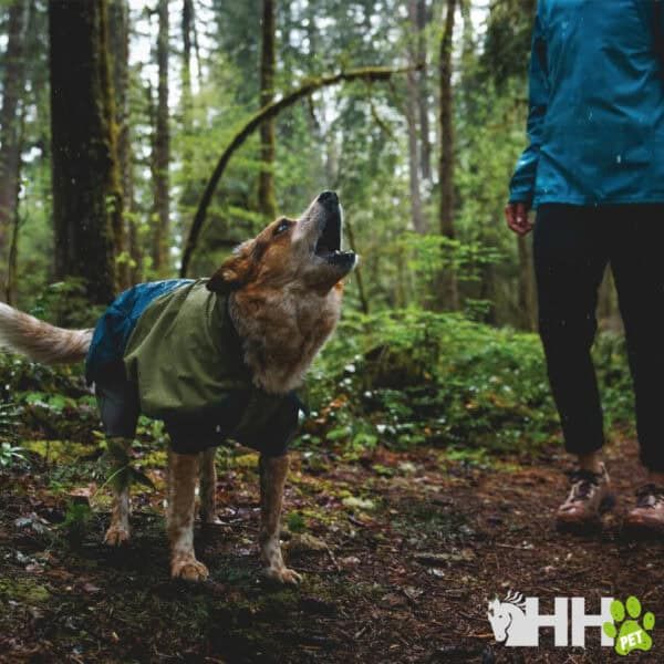 Chaqueta impermeable para perros en tienda TodoMASKOTAS, ideal para actividades al aire libre.