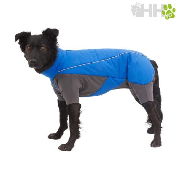 Impermeable para perros, ropa de mascotas, protección contra lluvia y viento.