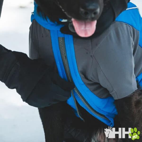 Chaqueta para perros con estilo, ideal para actividades al aire libre y clima frío.