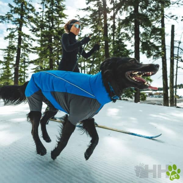 Disfraz de perro en la nieve para mascotas, tienda online TodoMASKOTAS.