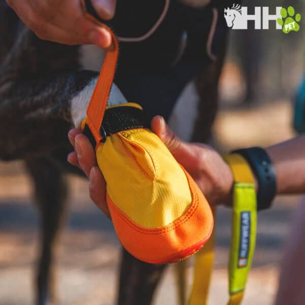 Zapatilla de equitación para caballos, calzado de protección para cabos y niños, tienda online TodoMASKOTAS.