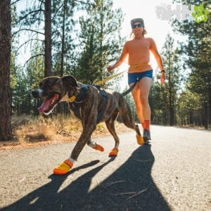 Zapatos para perros deportivos, perfectos para correr con mascotas en tiendas online TodoMASKOTAS.