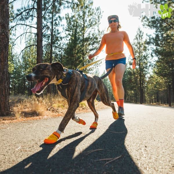 Zapatos para perros deportivos, perfectos para correr con mascotas en tiendas online TodoMASKOTAS.
