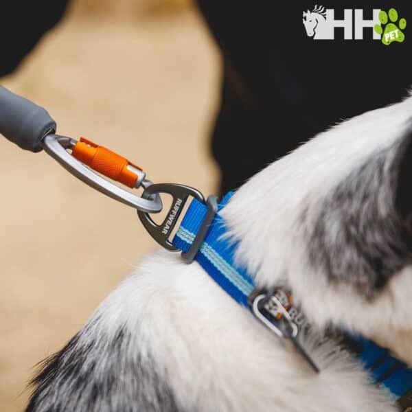 Correa para perros con arnés de alta calidad y clip de seguridad azul.