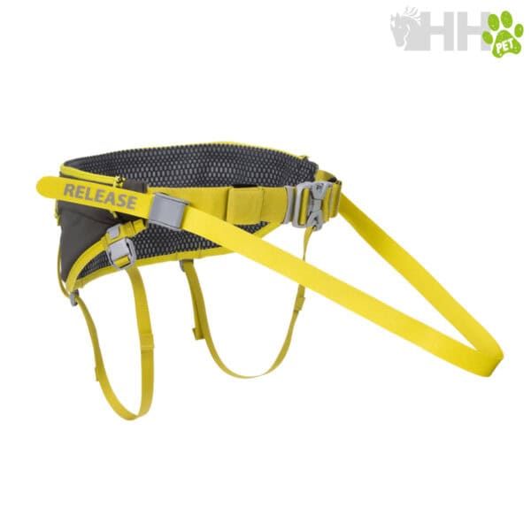 Correa de perro ajustable y resistente para paseo y entrenamiento.