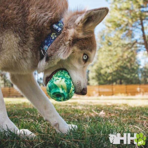 Tienda online TodoMASKOTAS, peluches y accesorios para mascotas.