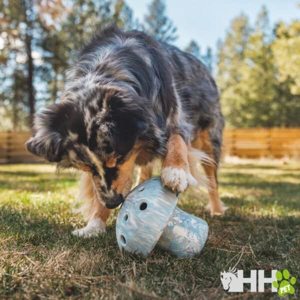 Juguete de perro de cerámica para mascotas en jardín con pastor australiano jugando.