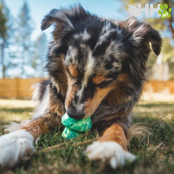 Juguete de peluche para perros en forma de hueso, ideal para morder y jugar en exteriores.