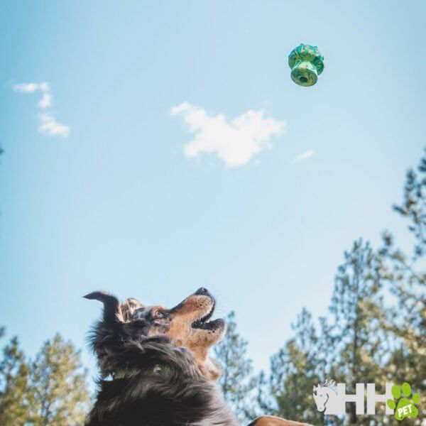 Peluche de perro mascota,ya mismo en Tienda online TodoMASKOTAS.