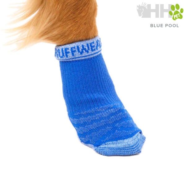 Suéter para perro azul, cómodo y divertido, ideal para mascotas en invierno.