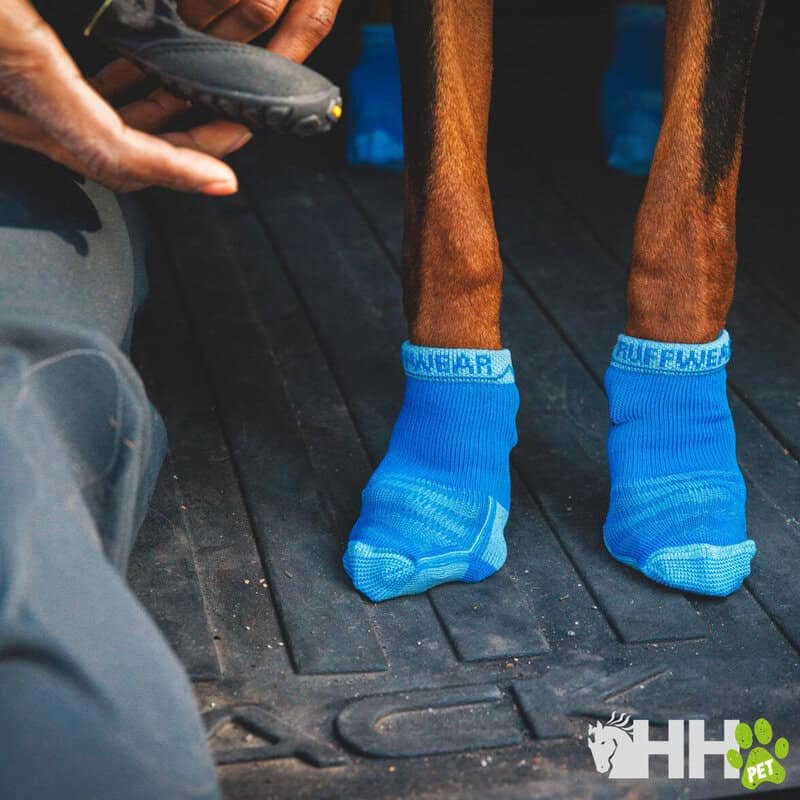 Manguitos para perros antideslizantes en color azul, cómodos y duraderos para mascotas activas.