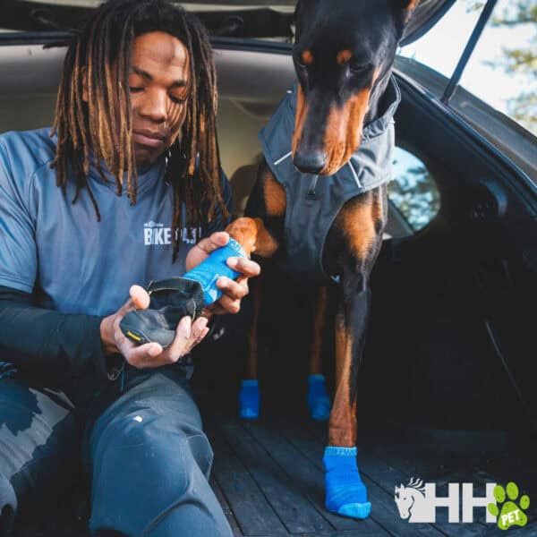 Botas protectoras para perros todomaskotas, botas antideslizantes para mascotas, protección para patas animales, tienda online mascotas.