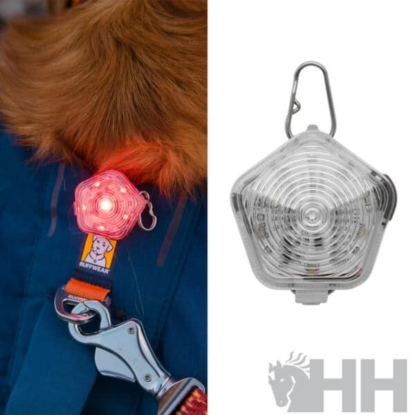Luz LED de advertencia para mascotas con arnés reflectante y iluminación de seguridad para paseos nocturnos.