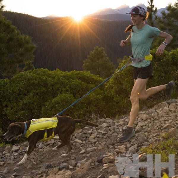 Correa de perro resistente, ideal para senderismo y aventuras al aire libre.