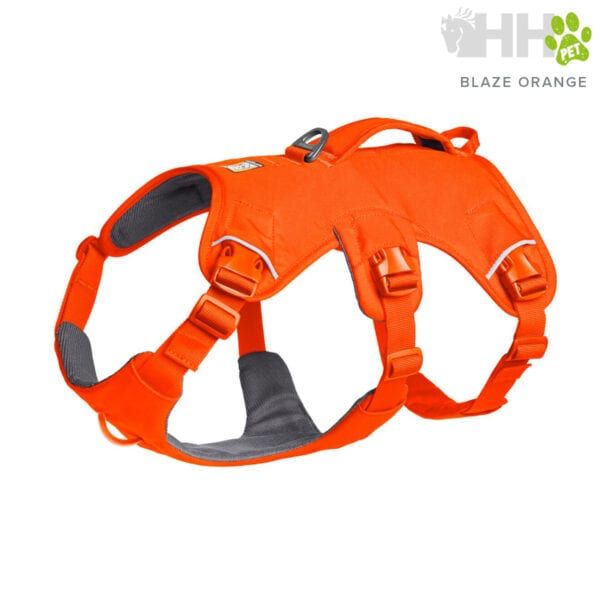 Correa para perros naranja Blaze Orange, perfecta para paseos seguros en TodoMASKOTAS.