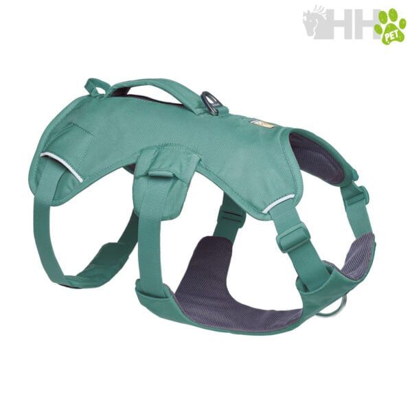 Arnés para perros de fácil ajuste y comodidad en tienda online TodoMASKOTAS.