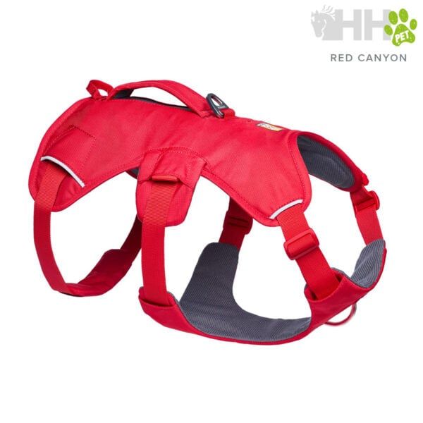 Correa para perros Red Canyon, resistente y cómoda, ideal para paseos seguros y felices.