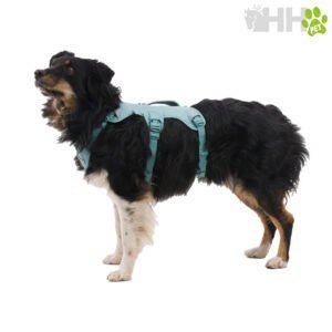 Arnés para perros en color azul, ideal para paseos seguros y cómodos.