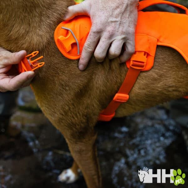 Correa de perro resistente y ajustable en color naranja para paseos seguros.