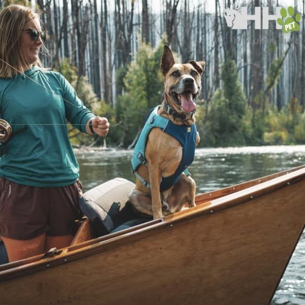 Perro con arnés en kayak en naturaleza.