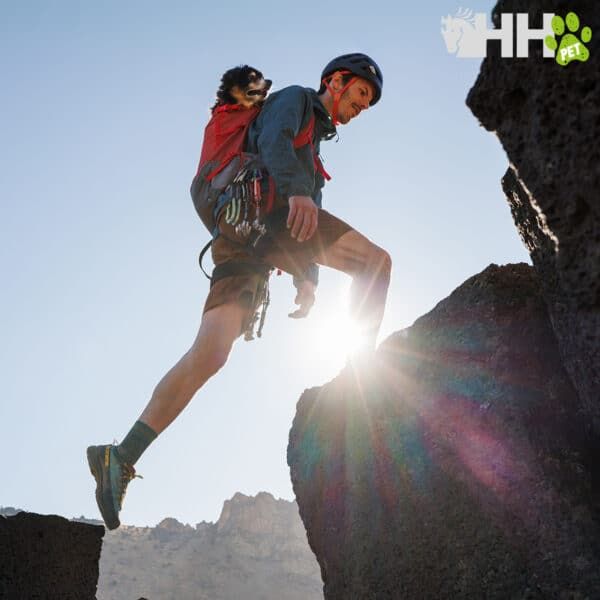 Aventura montaña con perro mascota en mochila, escalada y senderismo con mascota, tienda de productos para mascotas, TodoMASKOTAS.