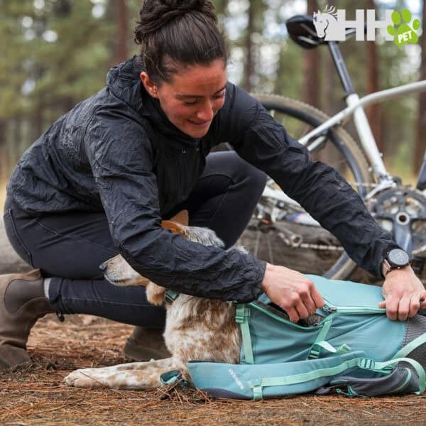 Mujer poniendo la mochila de un perro en el bosque, actividades al aire libre con mascotas.