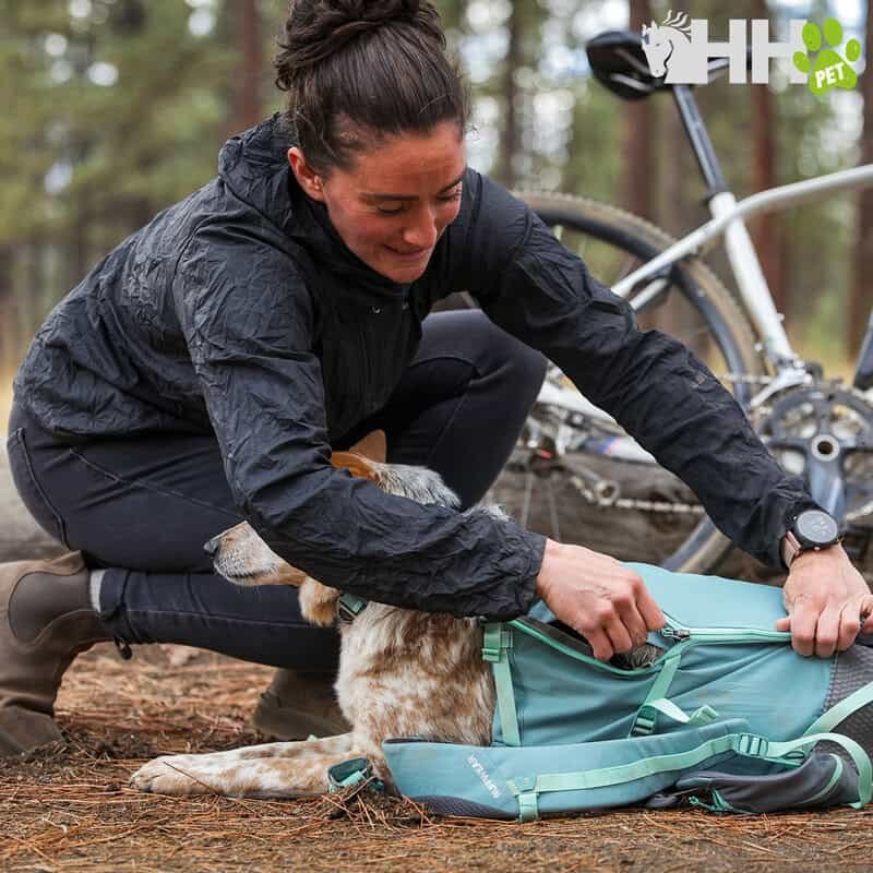 Mujer poniendo la mochila de un perro en el bosque, actividades al aire libre con mascotas.