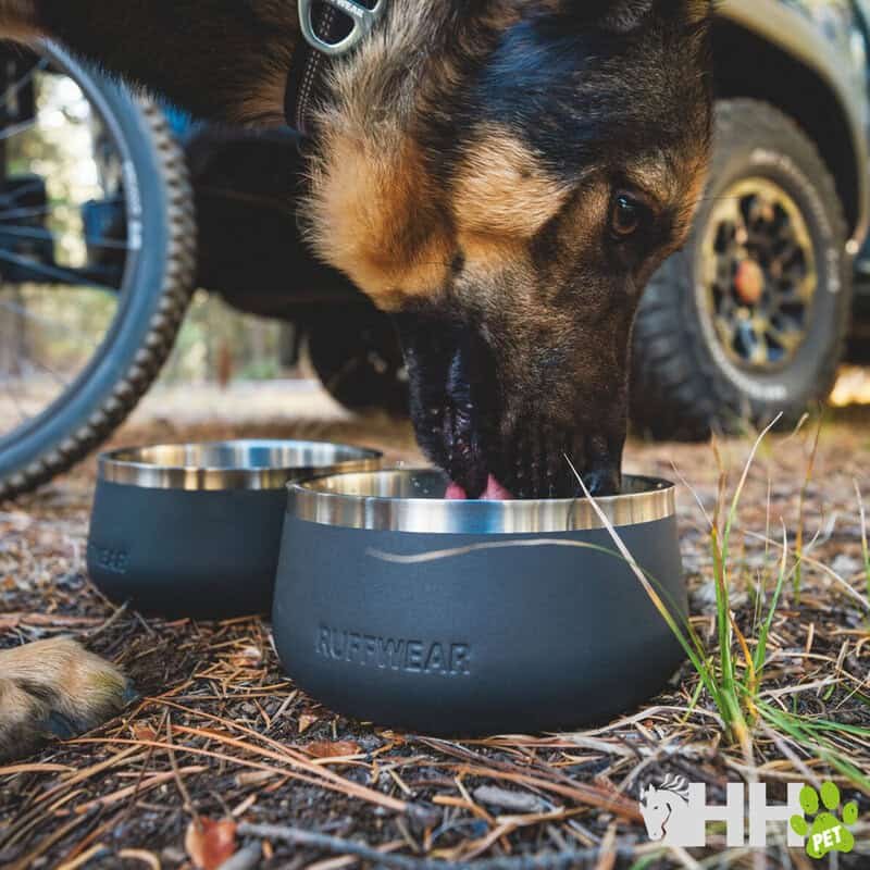 Silbato para perros en camping, accesorios para mascotas, comida para perros y más en TodoMASKOTAS.