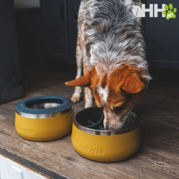 Comedero de mascotas portátil y duradero para perros y gatos.