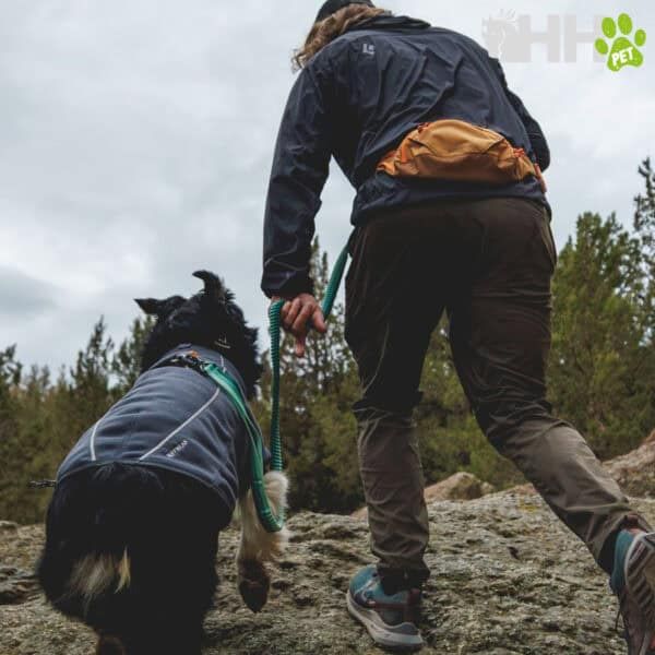 Botas de montaña para perros, ideales para senderismo y aventuras outdoor.