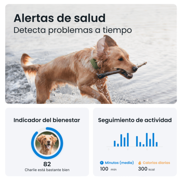 Cachorro jugando en el agua con hueso en boca, imagen en la tienda online TodoMASKOTAS.