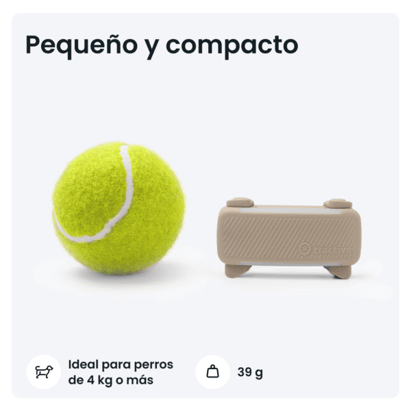 Bola de tenis y caja de almacenamiento para mascotas pequeñas y pelotas de juego.