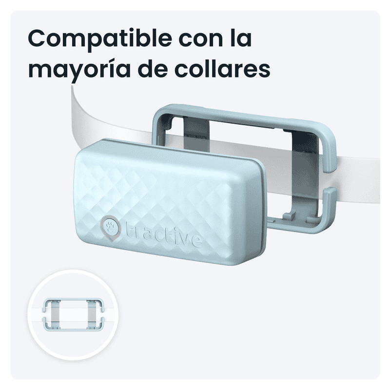 Silicona para el cable compatible con la mayoría de collares y colgantes.
