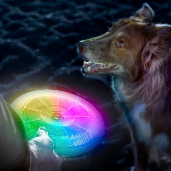 frisbee disco mascota con luz led incorporada