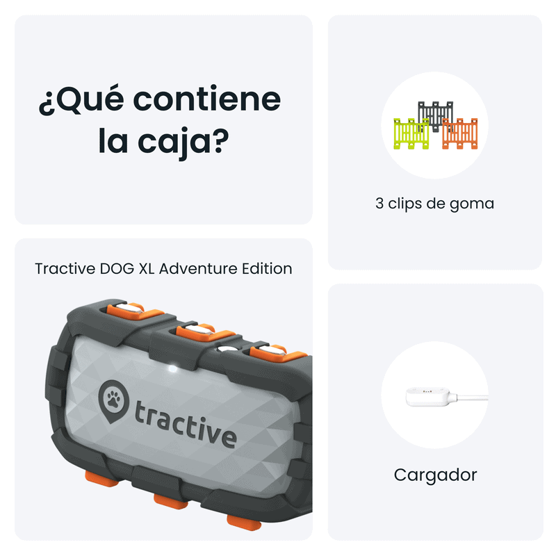 Bastidores y clips de goma para perros y mascotas.