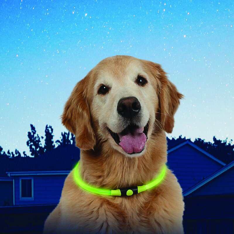 Diffusor LED para perros, collar luminoso para seguridad nocturna mascotas en exteriores.