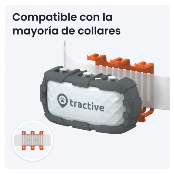 Compatible con la mayoría de collares para perros y gatos, ideal para paseos y control de mascotas.