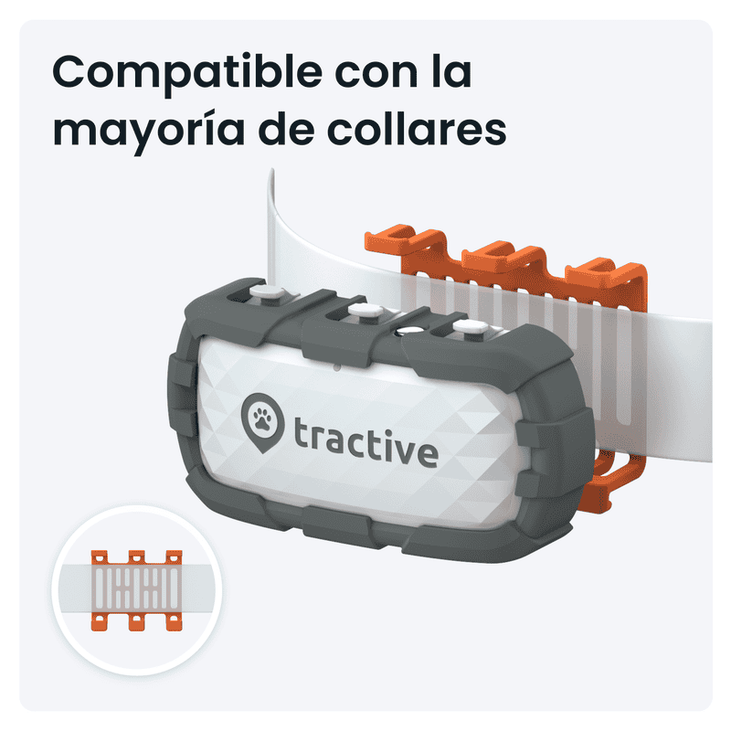 Compatible con la mayoría de collares para perros y gatos, ideal para paseos y control de mascotas.
