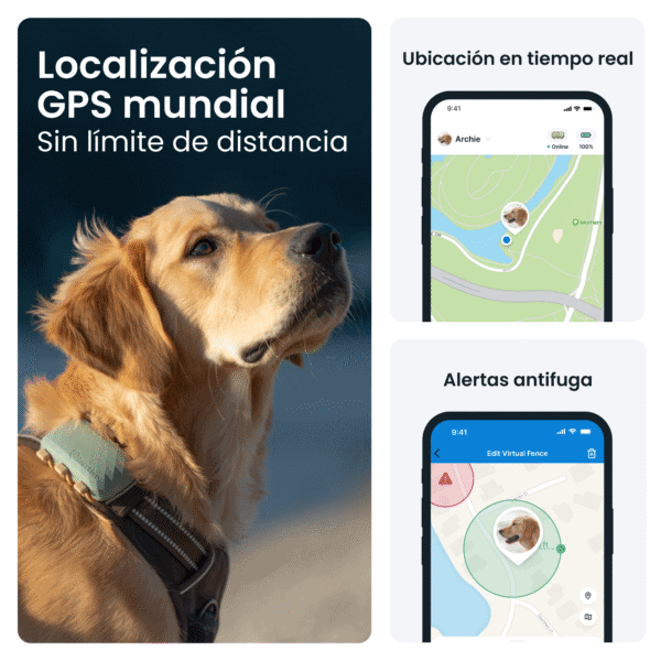 Localización GPS para mascotas, rastreo en tiempo real, alarma antifauna, tecnología de localización perros, seguridad para mascotas.